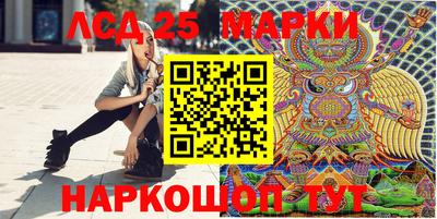 гашик Шелехов