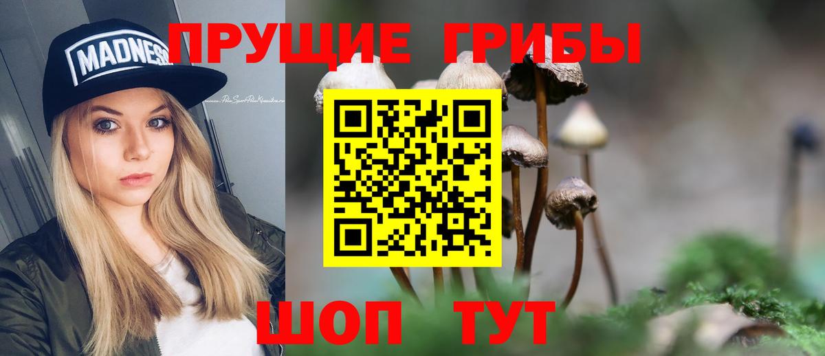 Галлюциногенные грибы MAGIC MUSHROOMS Ялта